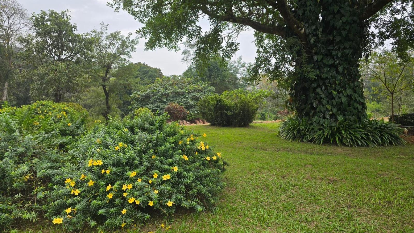 Highland Estate Hotel Sakleshpur Ngoại thất bức ảnh