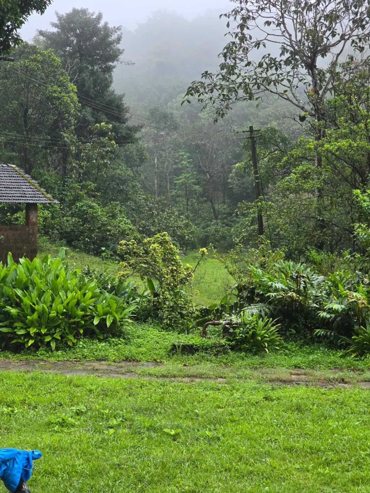 Highland Estate Hotel Sakleshpur Ngoại thất bức ảnh